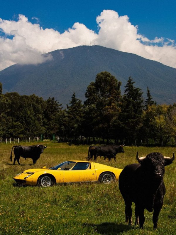 В сети оживили ещё один легендарный итальянский ло...
