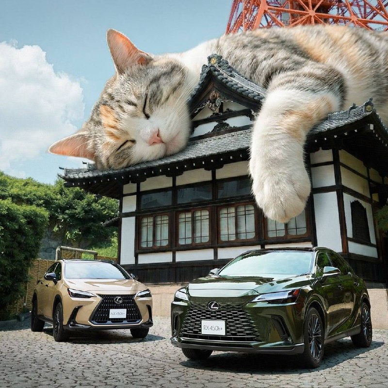 Lexus выпустил рекламу, в которой весь мир, кроме ...